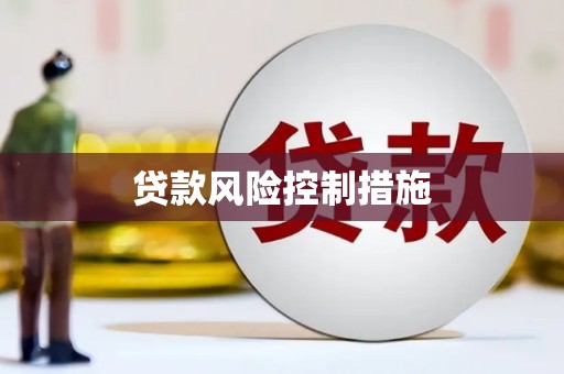 新兴贷款风险控制措施