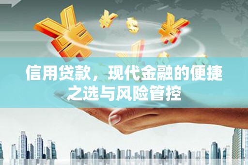 新兴信用贷款，现代金融的便捷之选与风险管控