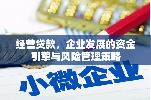 新兴经营贷款，企业发展的资金引擎与风险管理策略