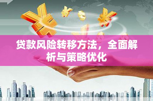 新兴贷款风险转移方法，全面解析与策略优化