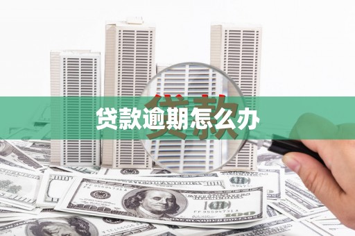 新兴贷款逾期怎么办