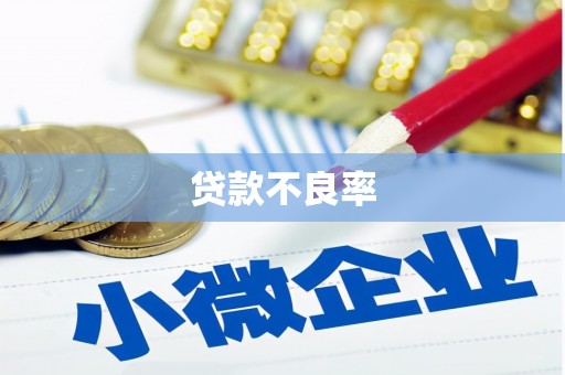新兴贷款不良率