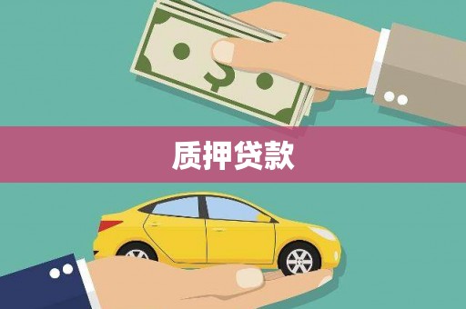 新兴质押贷款