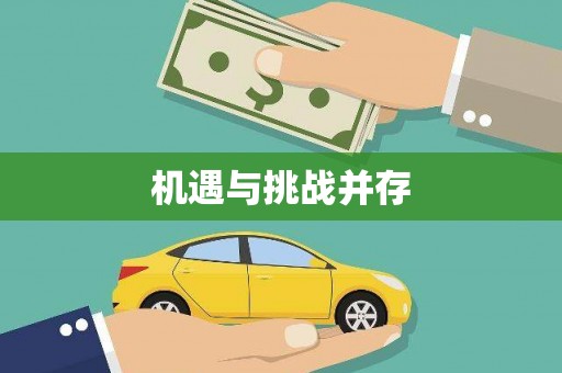 新兴机遇与挑战并存