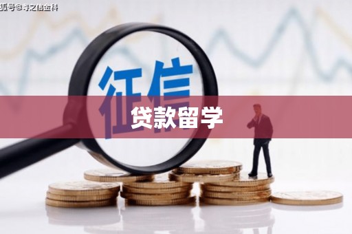 新兴贷款留学