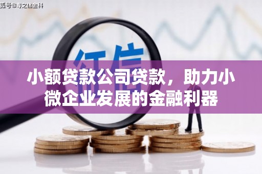 新兴小额贷款公司贷款，助力小微企业发展的金融利器