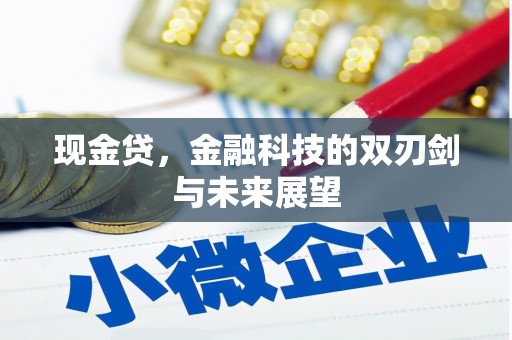 新兴现金贷，金融科技的双刃剑与未来展望
