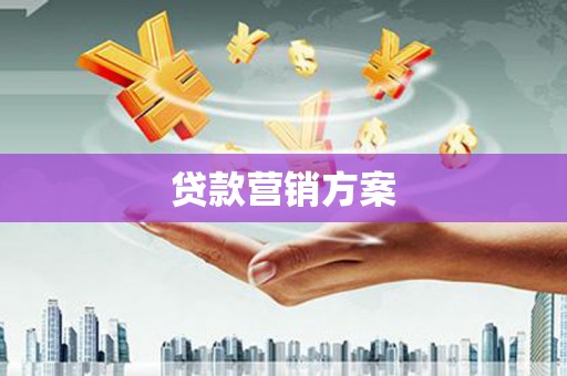 新兴贷款营销方案