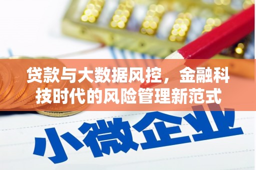 新兴贷款与大数据风控，金融科技时代的风险管理新范式