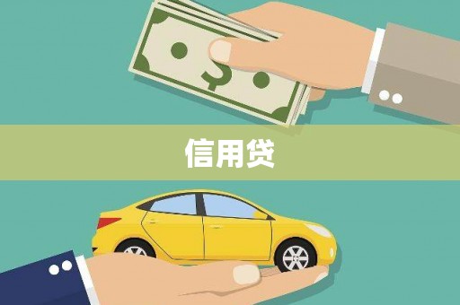 新兴信用贷
