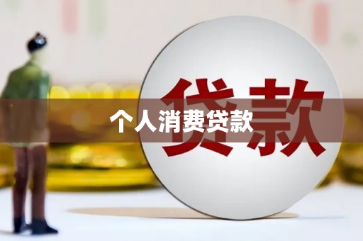 新兴个人消费贷款