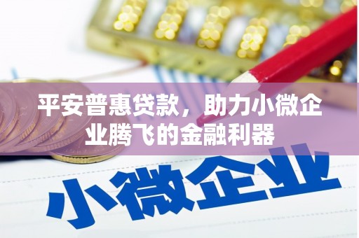 新兴平安普惠贷款，助力小微企业腾飞的金融利器