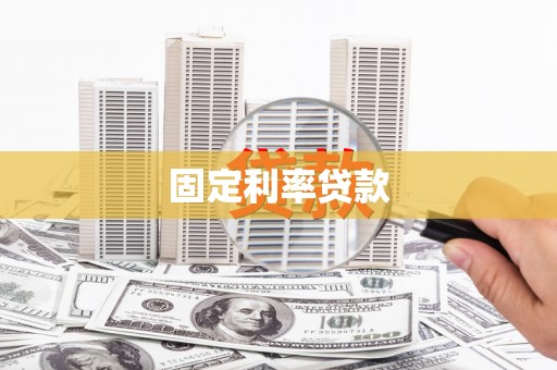 新兴固定利率贷款