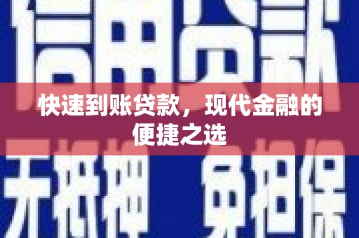 新兴快速到账贷款，现代金融的便捷之选