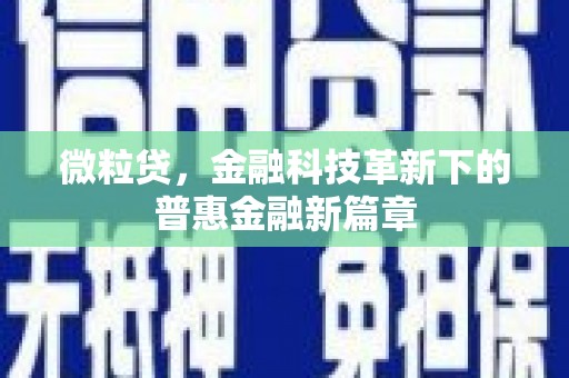 新兴微粒贷，金融科技革新下的普惠金融新篇章