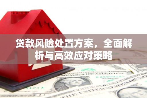 新兴贷款风险处置方案，全面解析与高效应对策略