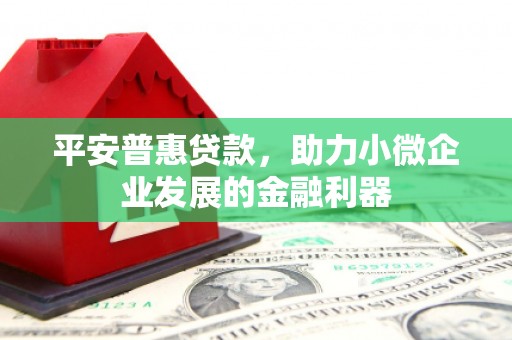 新兴平安普惠贷款，助力小微企业发展的金融利器