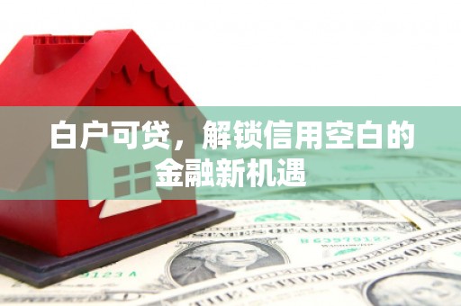 新兴白户可贷，解锁信用空白的金融新机遇