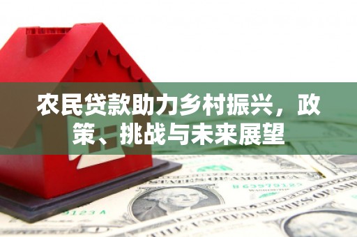 新兴农民贷款助力乡村振兴，政策、挑战与未来展望