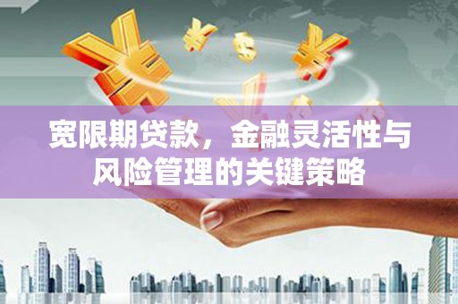 新兴宽限期贷款，金融灵活性与风险管理的关键策略