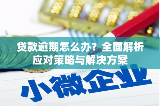 新兴贷款逾期怎么办？全面解析应对策略与解决方案