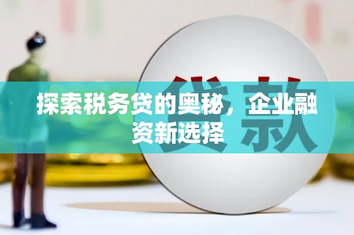 新兴探索税务贷的奥秘，企业融资新选择