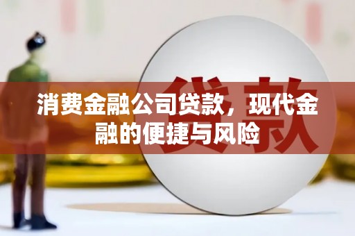 新兴消费金融公司贷款，现代金融的便捷与风险