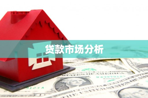 新兴贷款市场分析