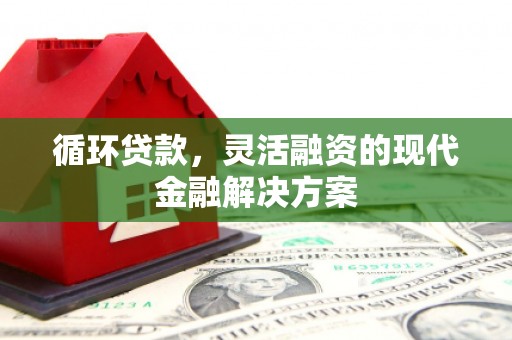 新兴循环贷款，灵活融资的现代金融解决方案