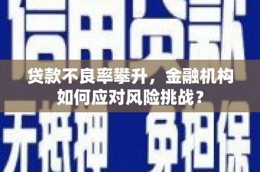 新兴贷款不良率攀升，金融机构如何应对风险挑战？