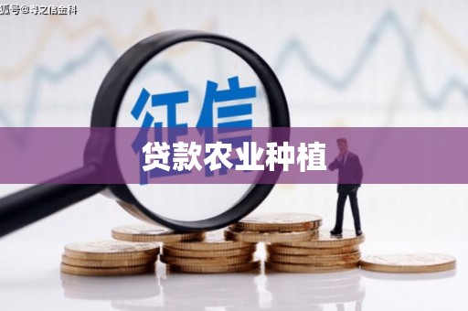 新兴贷款农业种植