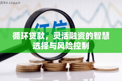 新兴循环贷款，灵活融资的智慧选择与风险控制