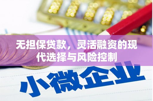 新兴无担保贷款，灵活融资的现代选择与风险控制