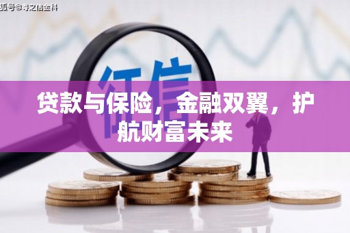 新兴贷款与保险，金融双翼，护航财富未来