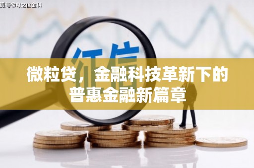 新兴微粒贷，金融科技革新下的普惠金融新篇章