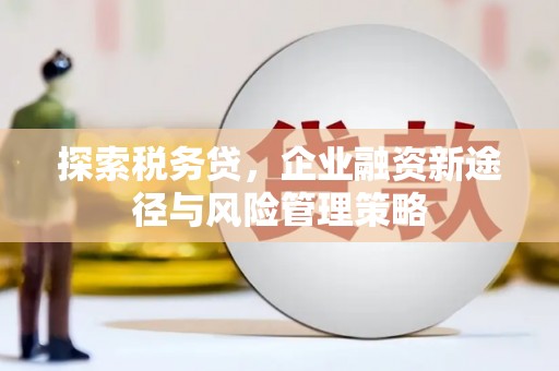 新兴探索税务贷，企业融资新途径与风险管理策略