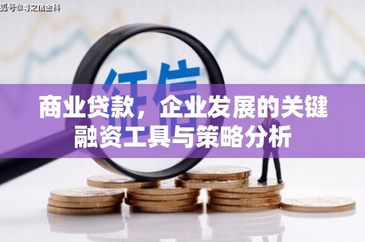 新兴商业贷款，企业发展的关键融资工具与策略分析