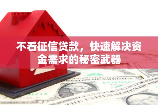 新兴不看征信贷款，快速解决资金需求的秘密武器