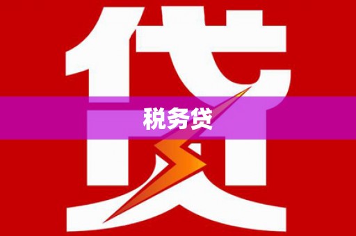 新兴税务贷