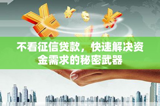新兴不看征信贷款，快速解决资金需求的秘密武器