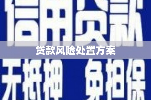 新兴贷款风险处置方案