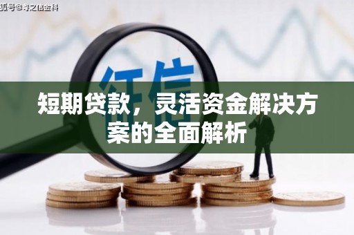 新兴短期贷款，灵活资金解决方案的全面解析