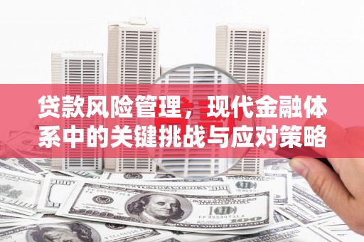 新兴贷款风险管理，现代金融体系中的关键挑战与应对策略