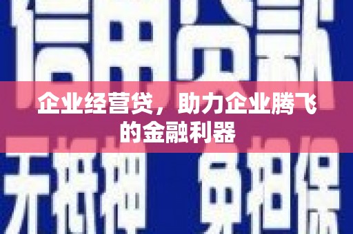 新兴企业经营贷，助力企业腾飞的金融利器