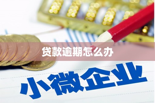 新兴贷款逾期怎么办