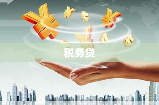 新兴税务贷