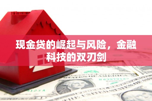 新兴现金贷的崛起与风险，金融科技的双刃剑