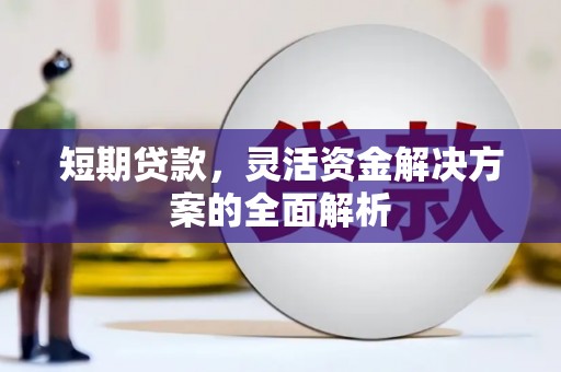 新兴短期贷款，灵活资金解决方案的全面解析