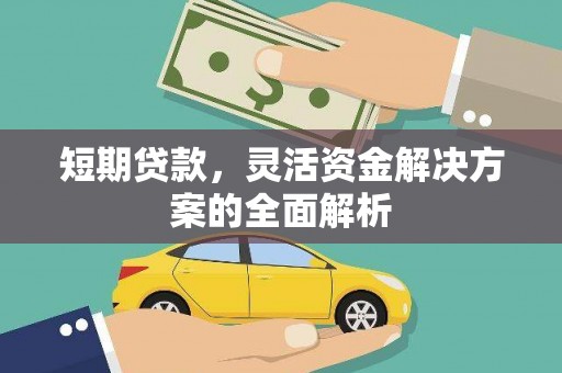 新兴短期贷款，灵活资金解决方案的全面解析