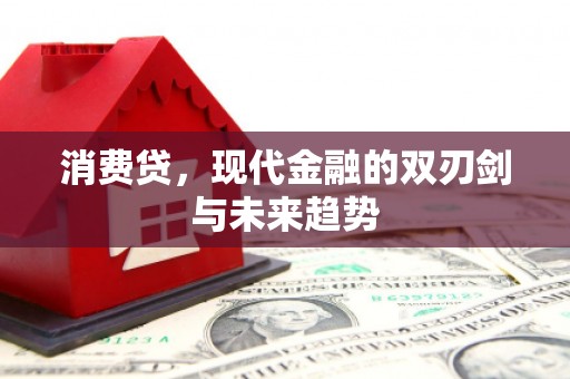 新兴消费贷，现代金融的双刃剑与未来趋势